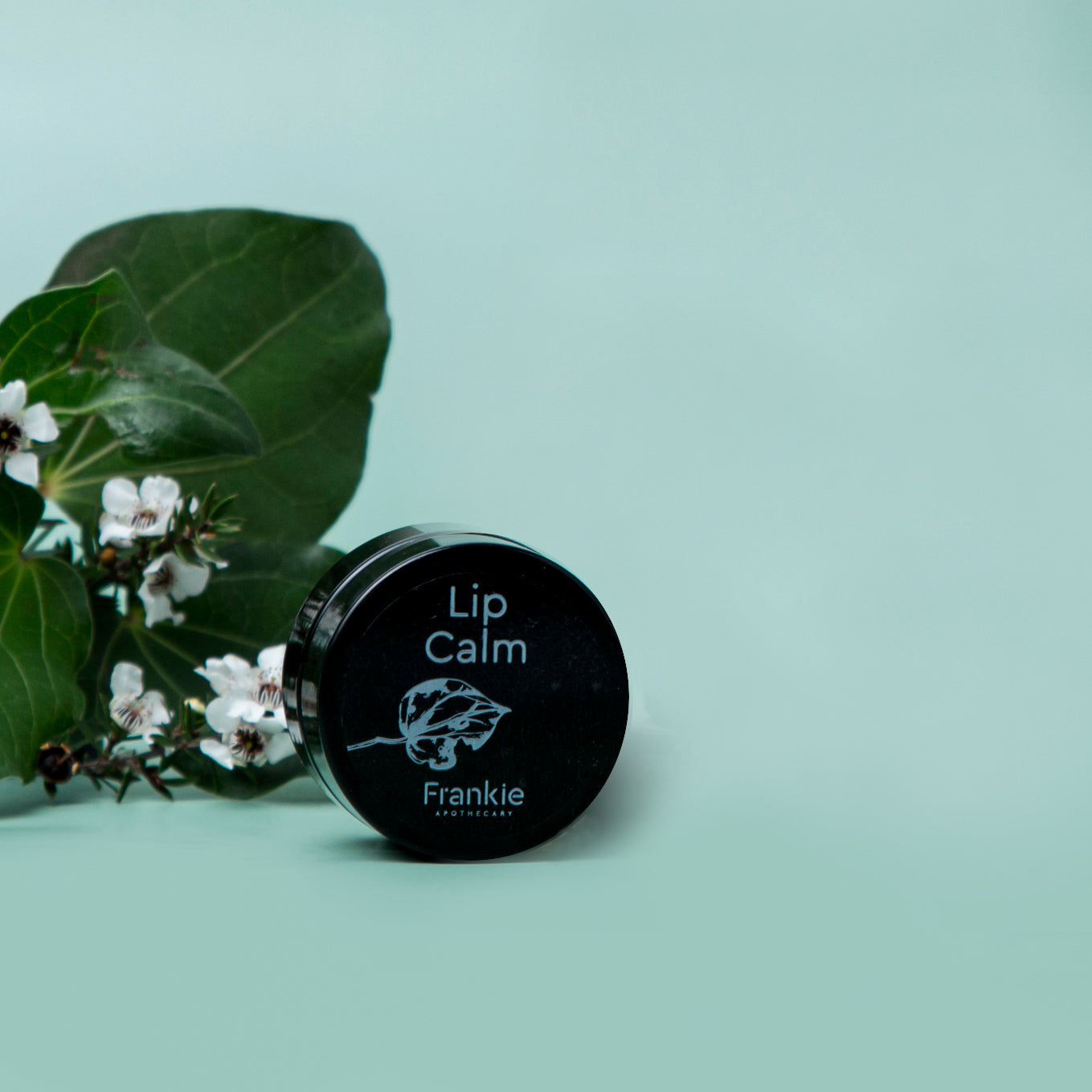 Lip Calm - Kawakawa and Spearmint