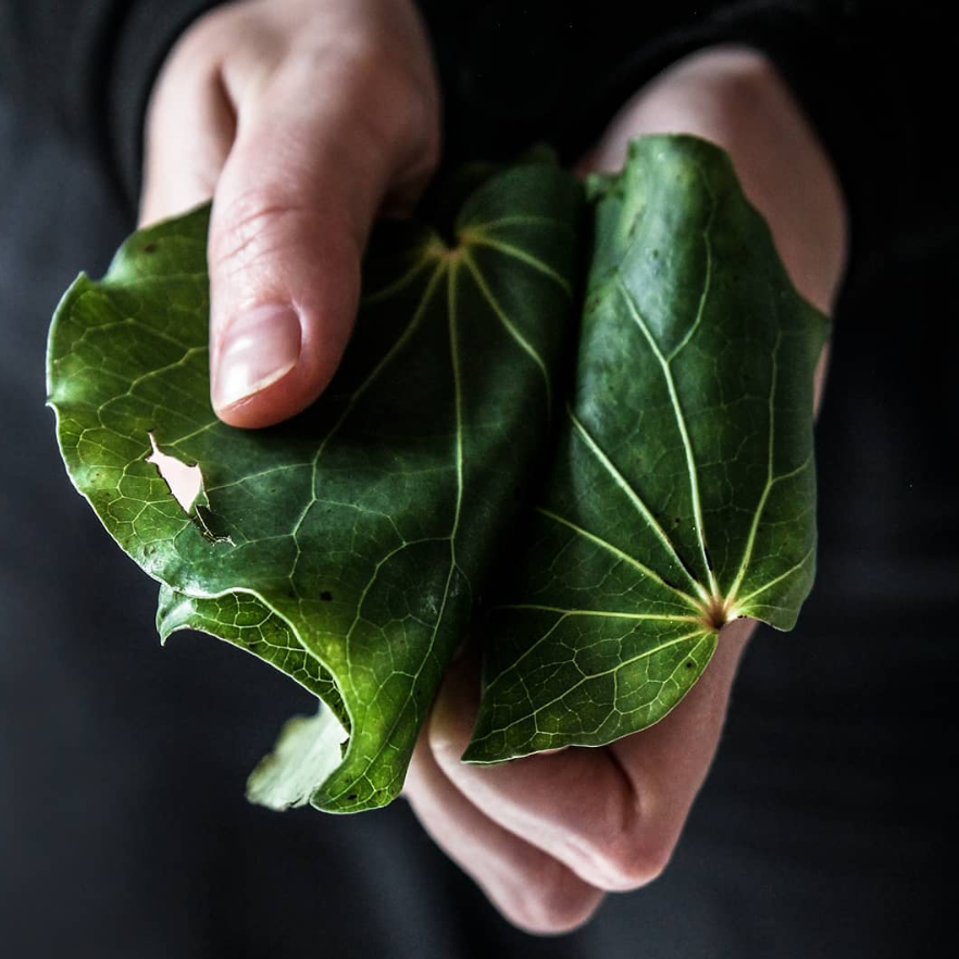 Finding ways to wellness in a busy world
