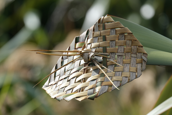Playful pathways to learn te reo Māori