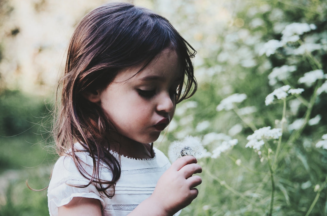 Parenting for Mana Atua - Seven aspects of creating wellness in children