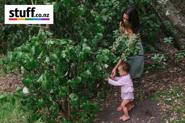 Stuff: Maori eczema remedy spells good business for west Auckland mum
