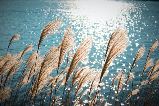 Summer, sunblock & eczema