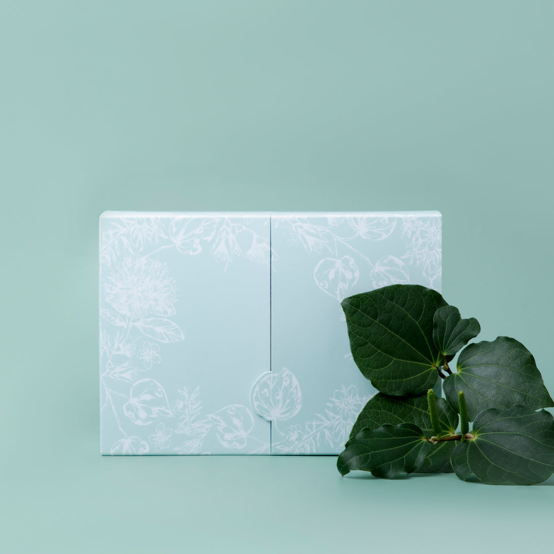 Kawakawa Deluxe Gift Box